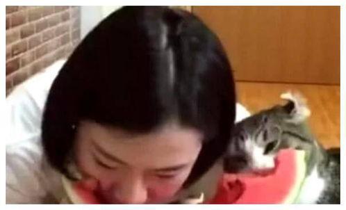 萌姐吃瓜合集,揭秘娱乐圈那些不为人知的幕后故事