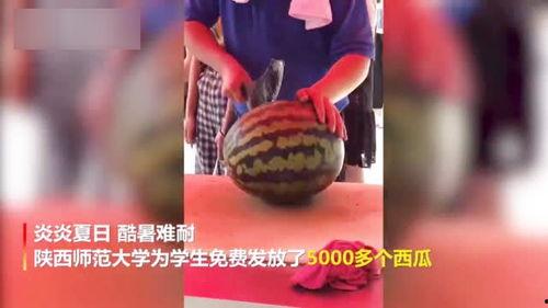 各大高校吃瓜视频资源,揭秘各大高校吃瓜视频背后的故事