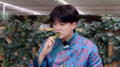 任嘉伦吃瓜图,瓜田李下，真相几何？