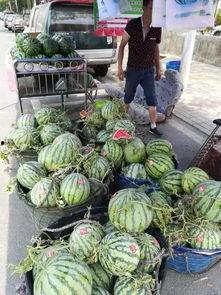 嵊州崇仁吃瓜事件,一场引发热议的社区冲突