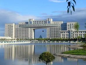 八一农垦大学吃瓜,瓜香四溢，欢乐满园