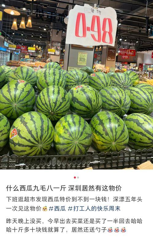 大瓜吃瓜的视频大全播放,视频大全热门播放盘点