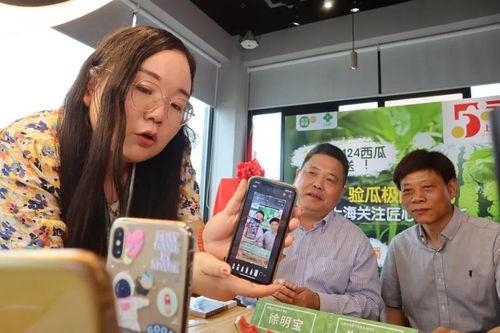 卖衣服吃瓜直播,卖衣服吃瓜两不误，直播界新潮流