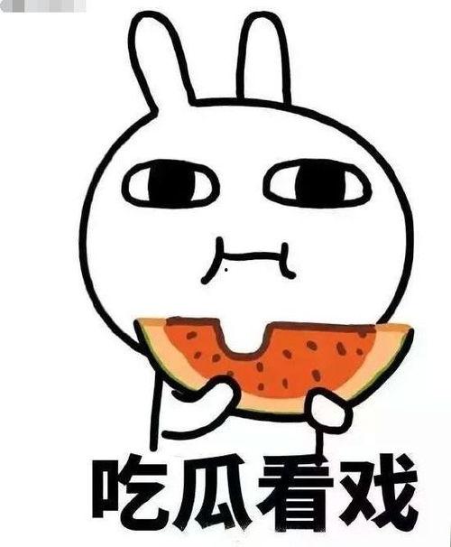 月夜吃瓜的猹,探寻猹的神秘魅力