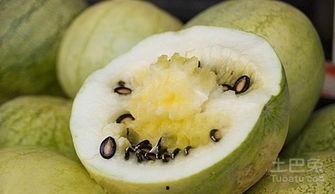 水籽瓜怎么吃,解锁夏日清新美味