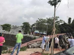 安庆吃瓜观众事件,网络舆论场中的围观与反思