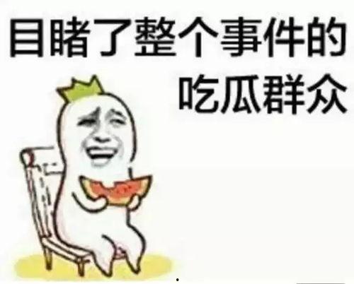 你吃瓜了吗原唱,背后的故事与音乐魅力