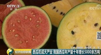 大半夜吃瓜群众,揭秘大半夜吃瓜群众的神秘世界