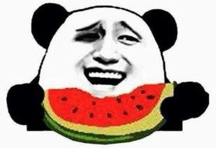 吃瓜群众的烂剧